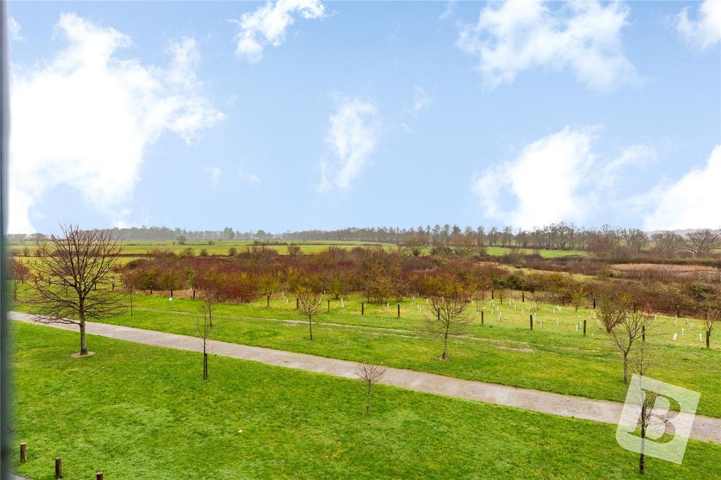 Field Views