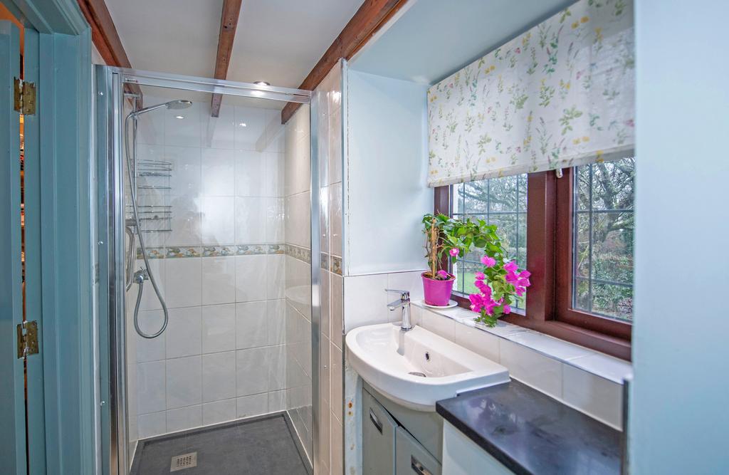 A page   110123 Ash Tree Cottage Penmaen 12.jpg