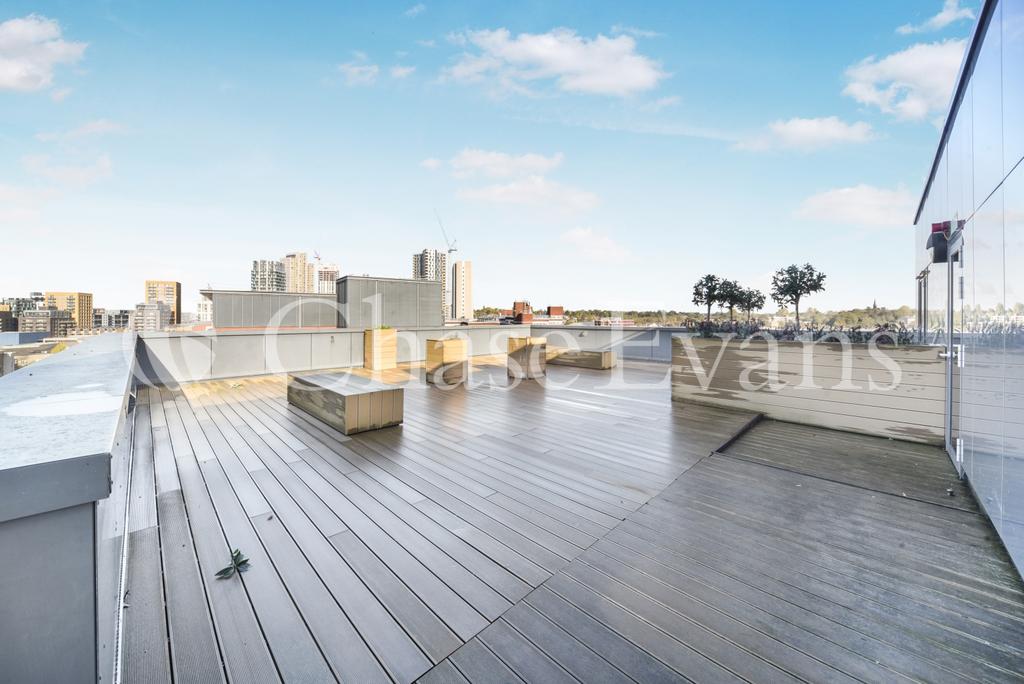 Roof Top