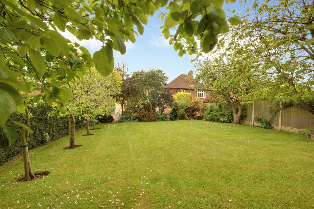 Garden at Back