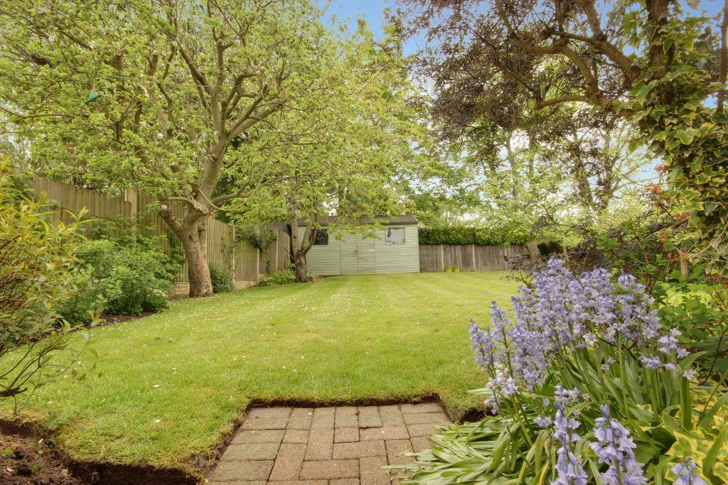 Garden at Back