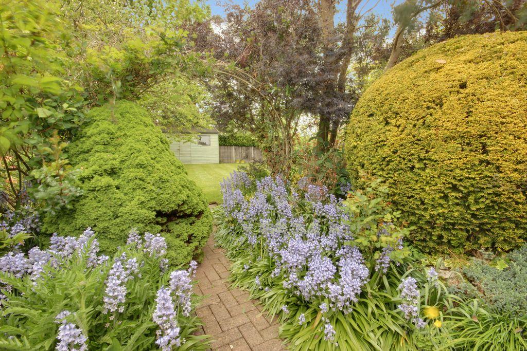 Garden at Back