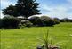 Additional image 17 of Camden Hurst, Milford on Sea, Lymington, Hampshire, SO41
