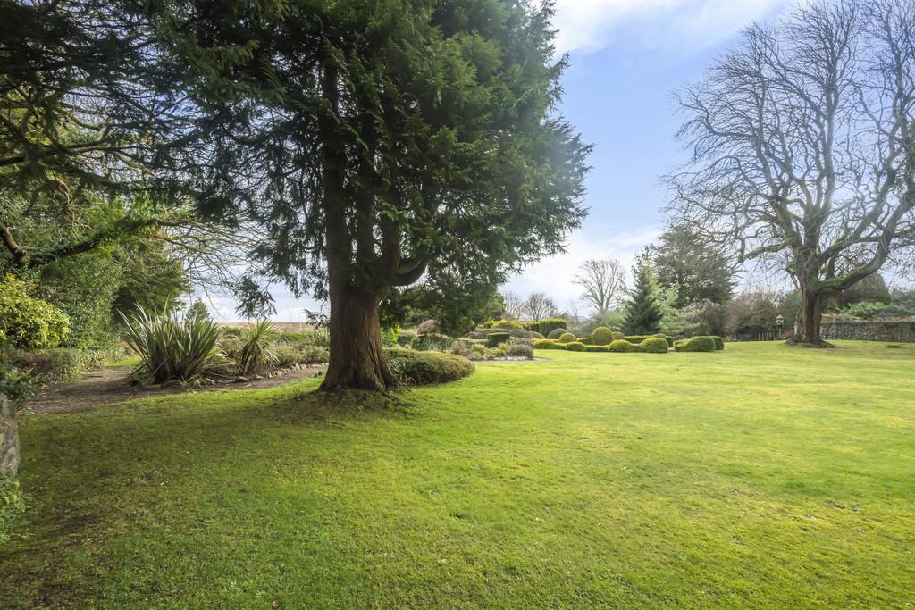 Communal Gardens