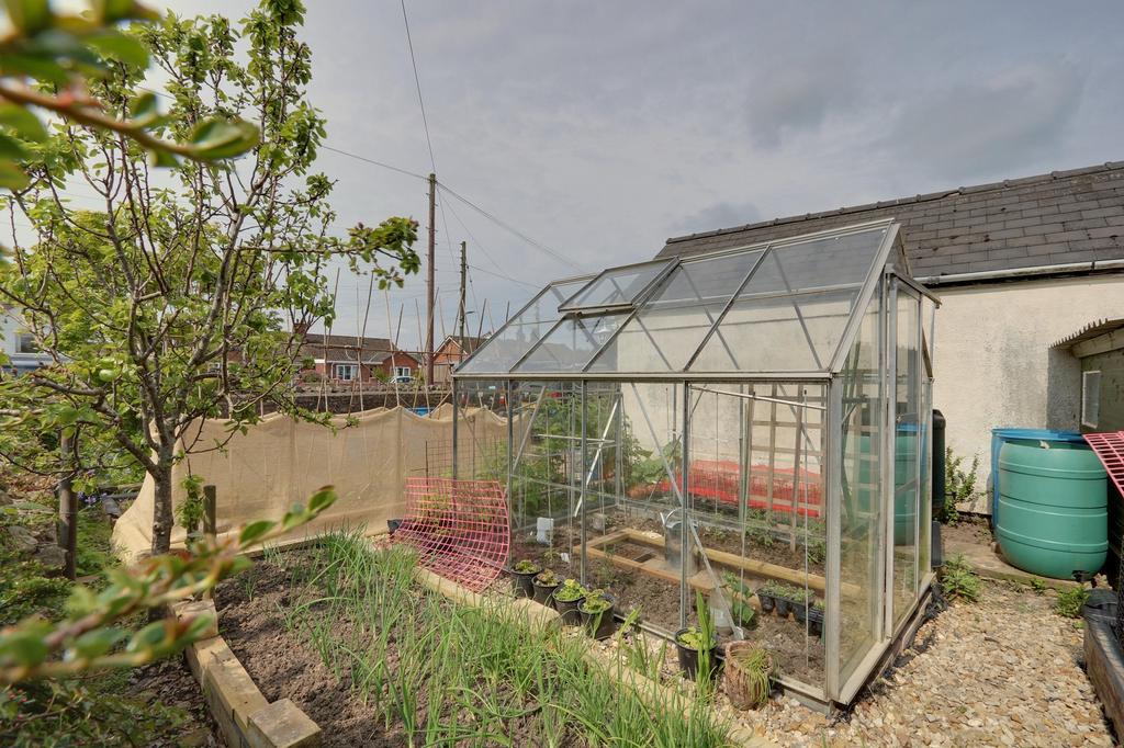 Vegetable Garden