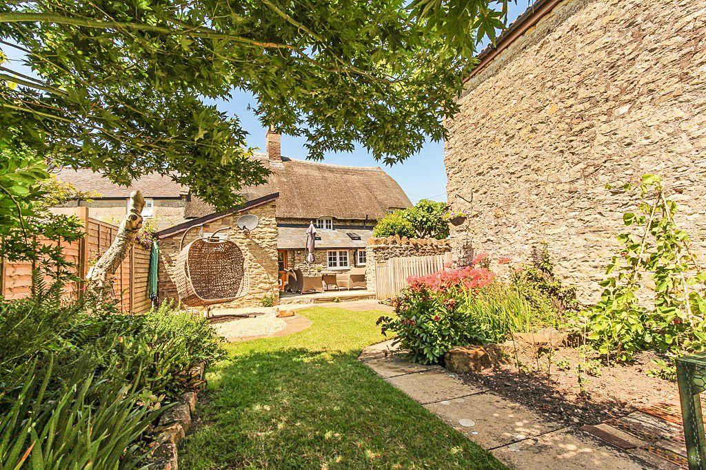 Garden at Back