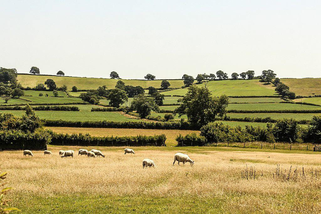 View from Property at Back