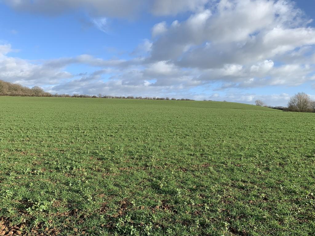 Stoneleigh Land for sale £225,000