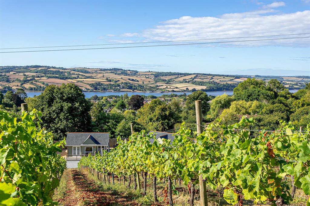 High Res Old Walls Vineyard Poppy Jakes Photograph