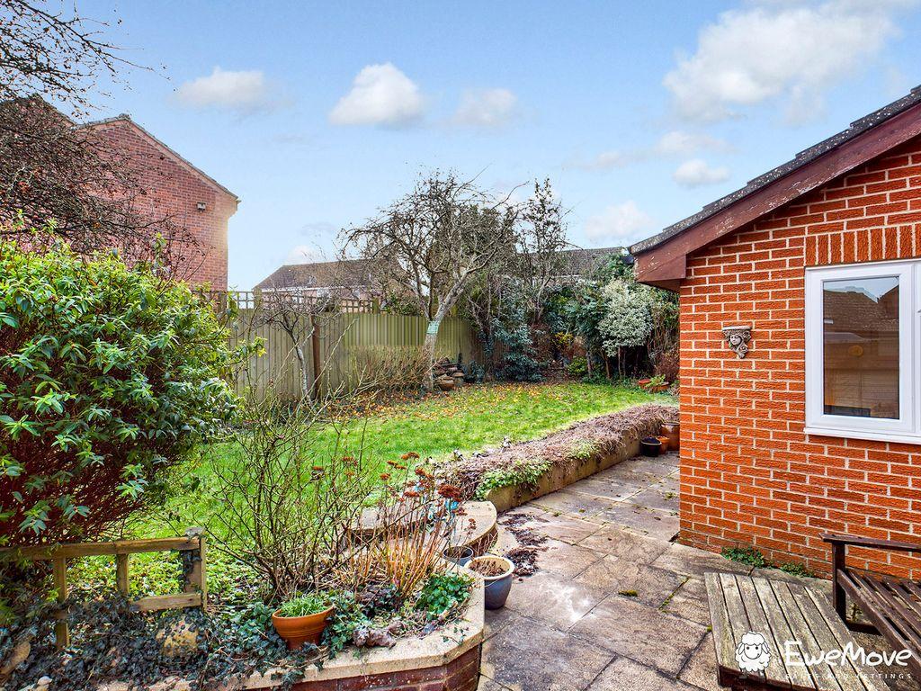 Garden at Back