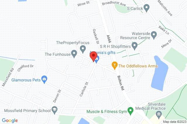 Google Maps Image