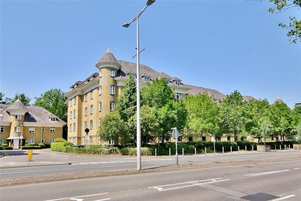 Picture 9