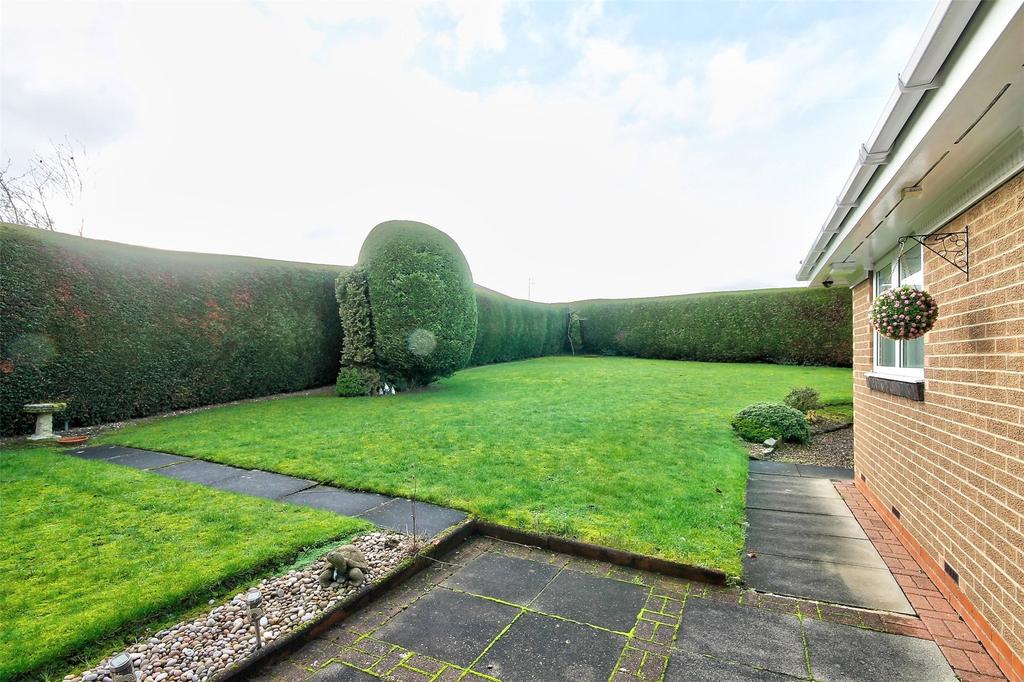 Garden 2