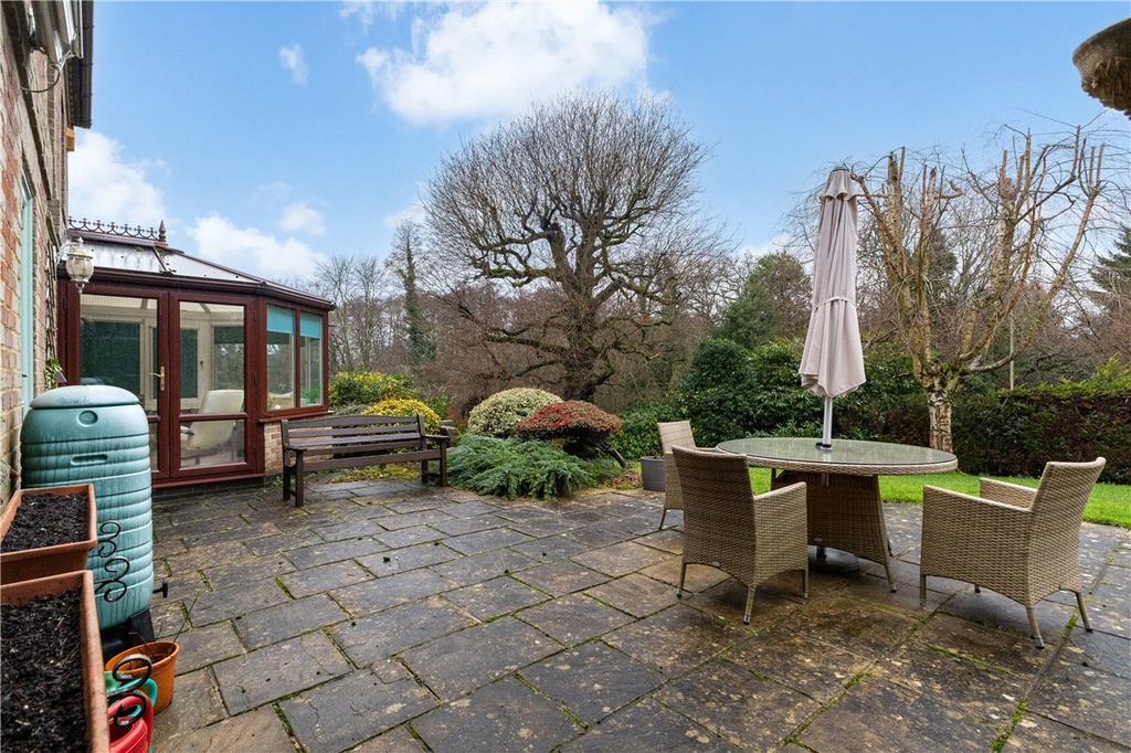 Patio / Terrace