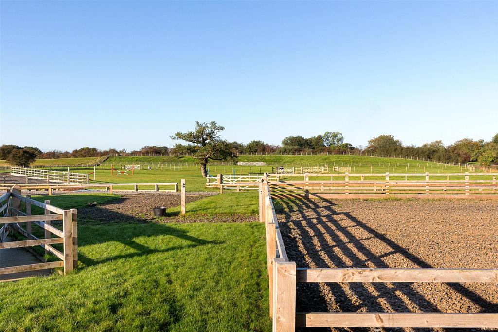 Equestrian