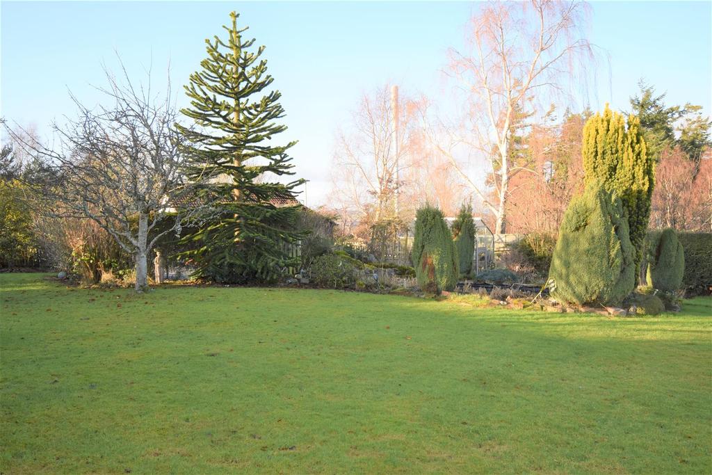 Garden.jpg