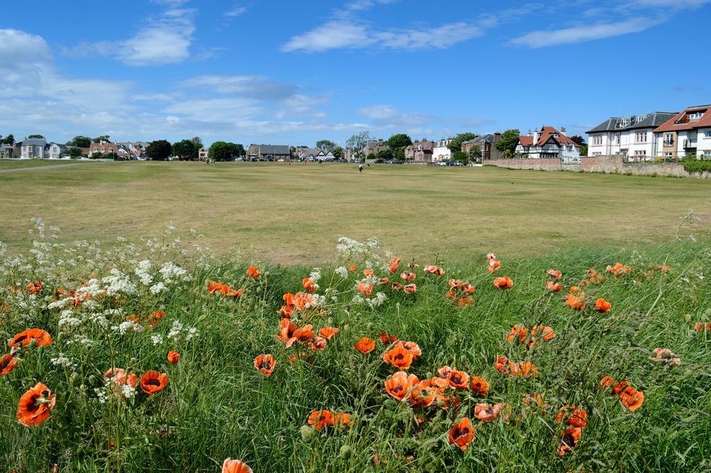 Saltcoats grange, gullane