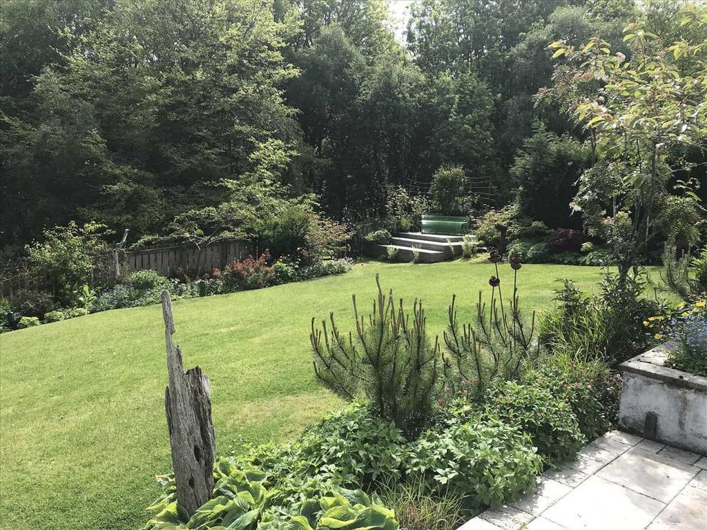 Rear Garden - Summer