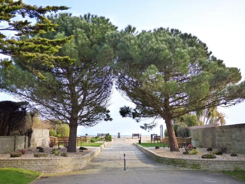 Close To The Beach