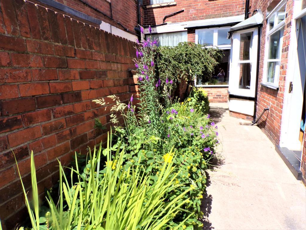 Rear Courtyard