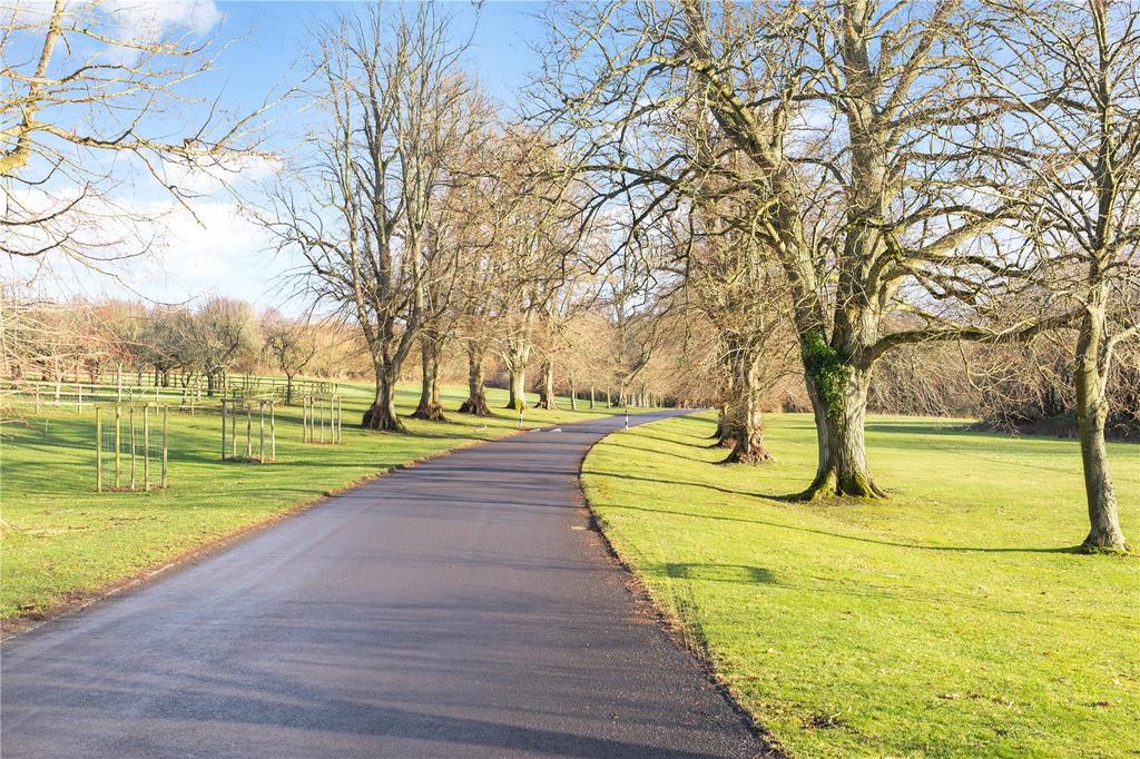 Lime Avenue