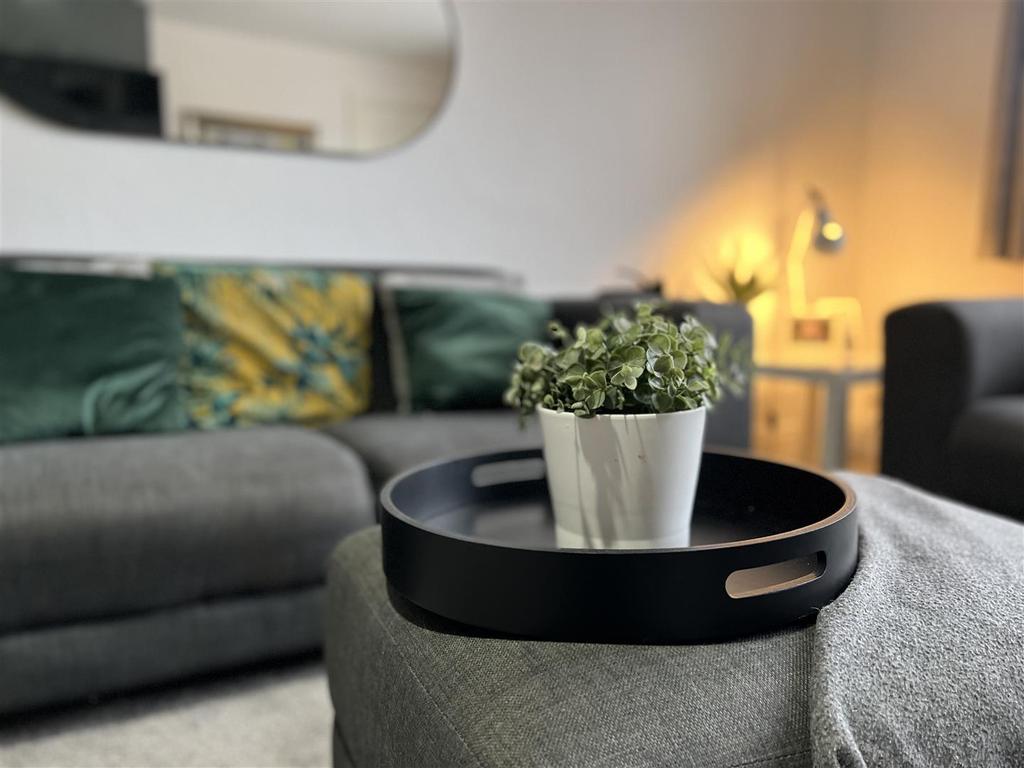 AEFF4048-6 CF0-445 B-AC9 F-A564 E0 C1737 F.jpeg