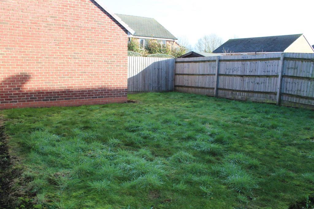 Garden.JPG