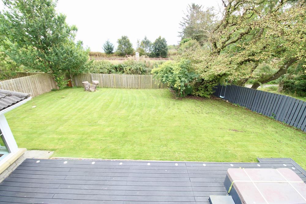 Garden photograph 4