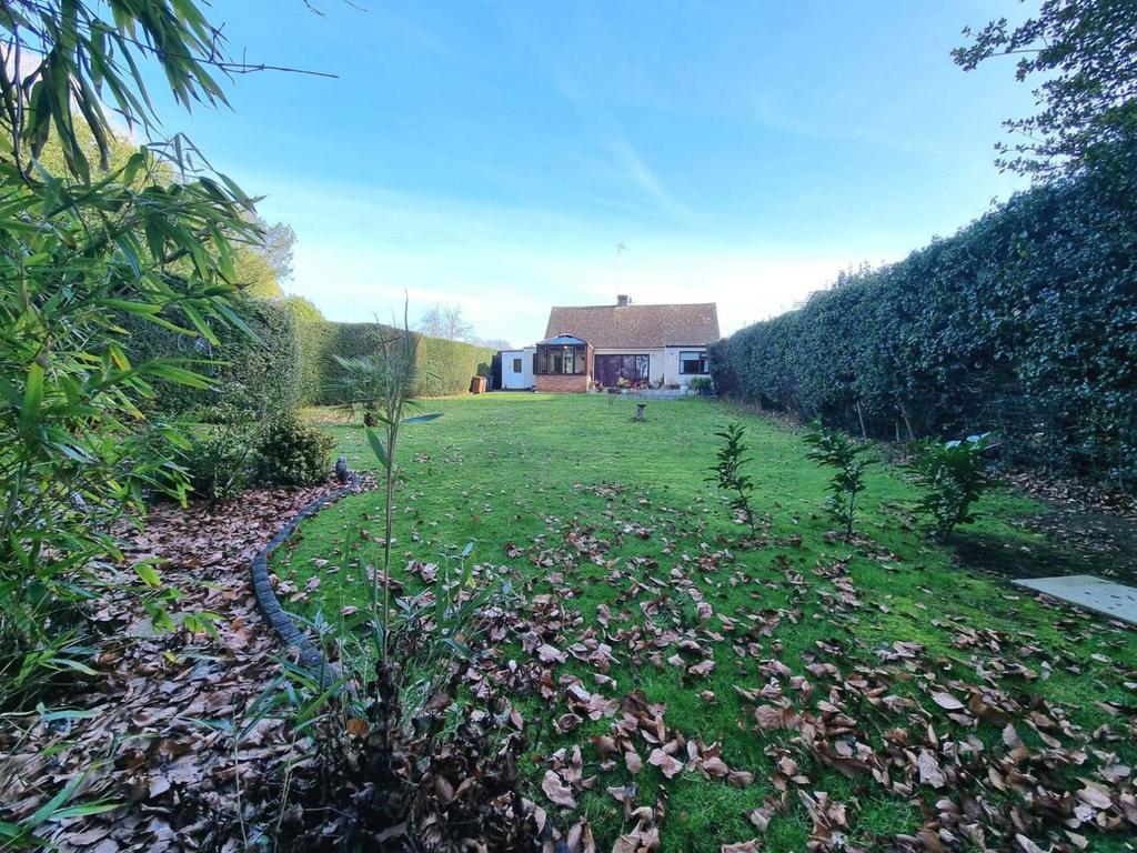 Rear garden