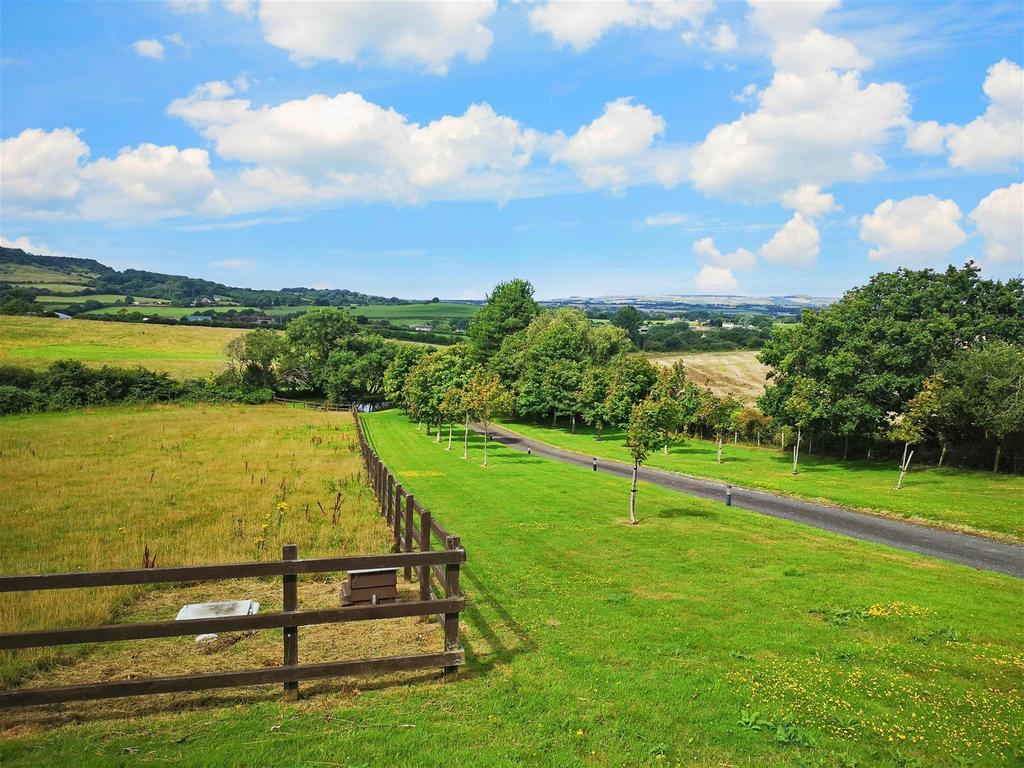 Driveway And Paddock