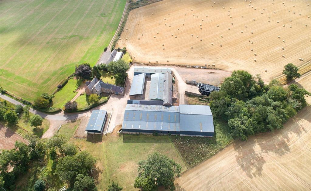 Farm