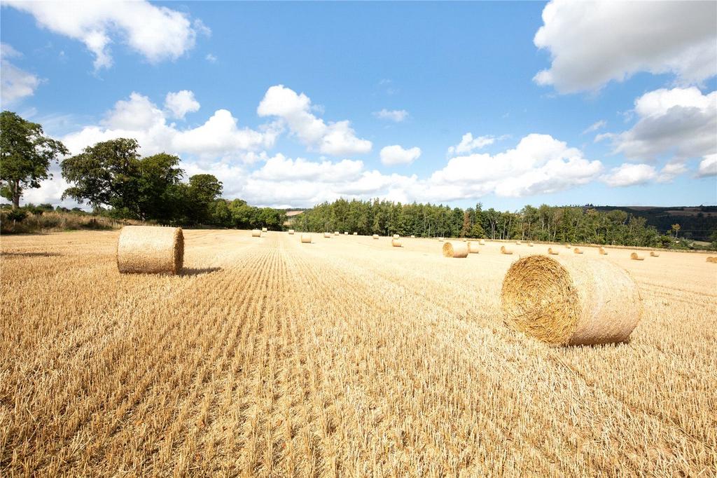 Land