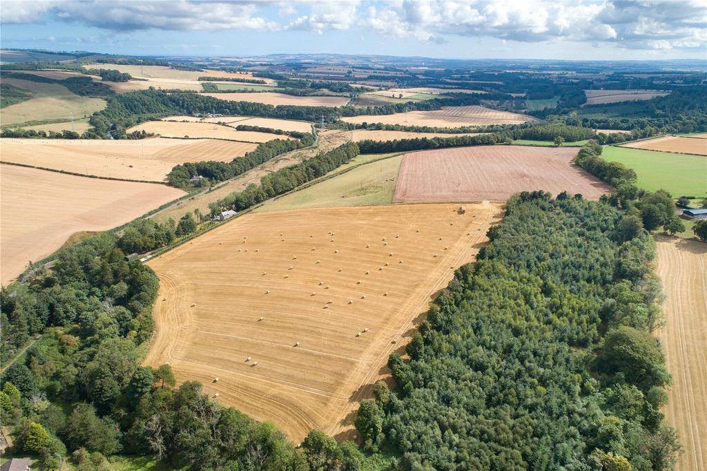 Fields