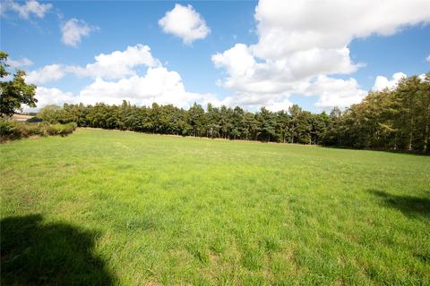 Land for sale - Chapel Farm (Lot 2), Duns, Berwickshire, TD11