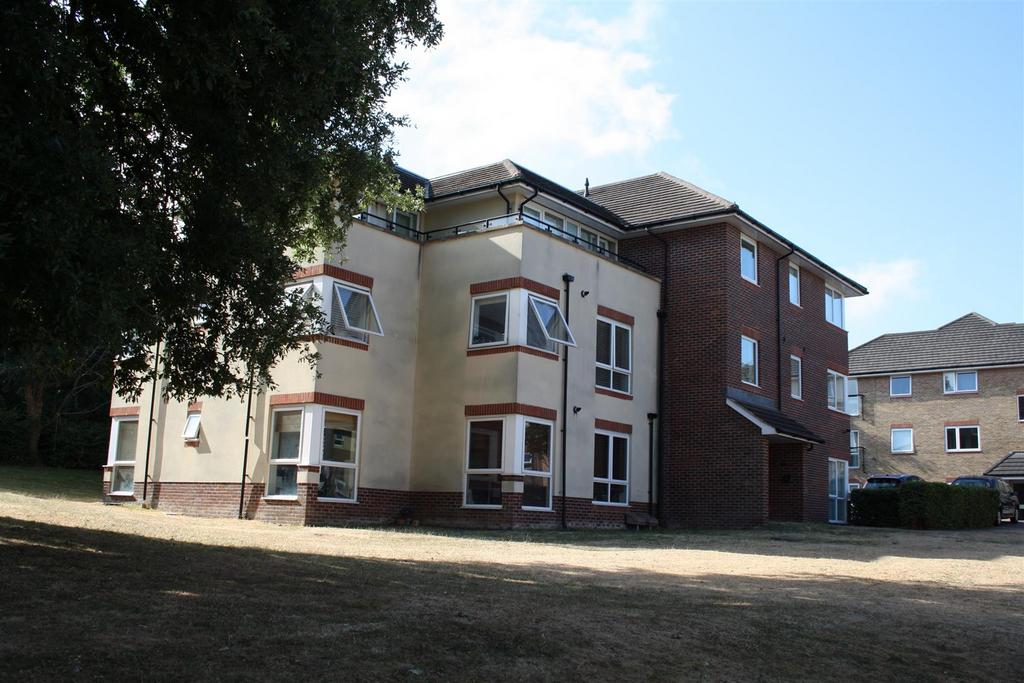 Img 4143.jpg