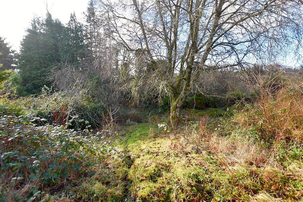 Hs Aq DJVtd UOu MXf0bg X40w.jpg