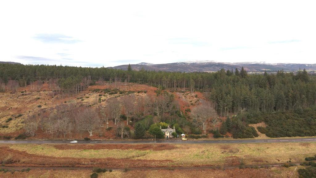 Dji 0453.jpg