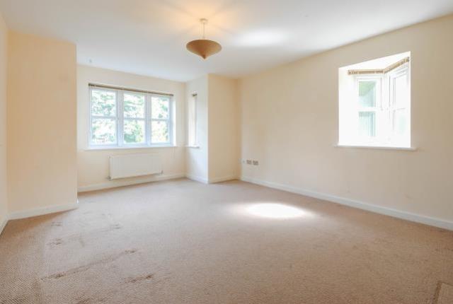 2 c157 bb0 18 dd 48 c4 a30 a 724 f895039 f0