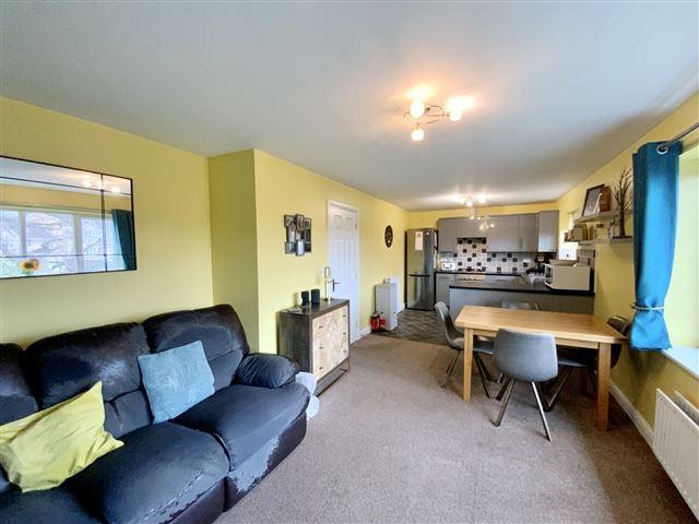 Open plan living/kitchen/dining
