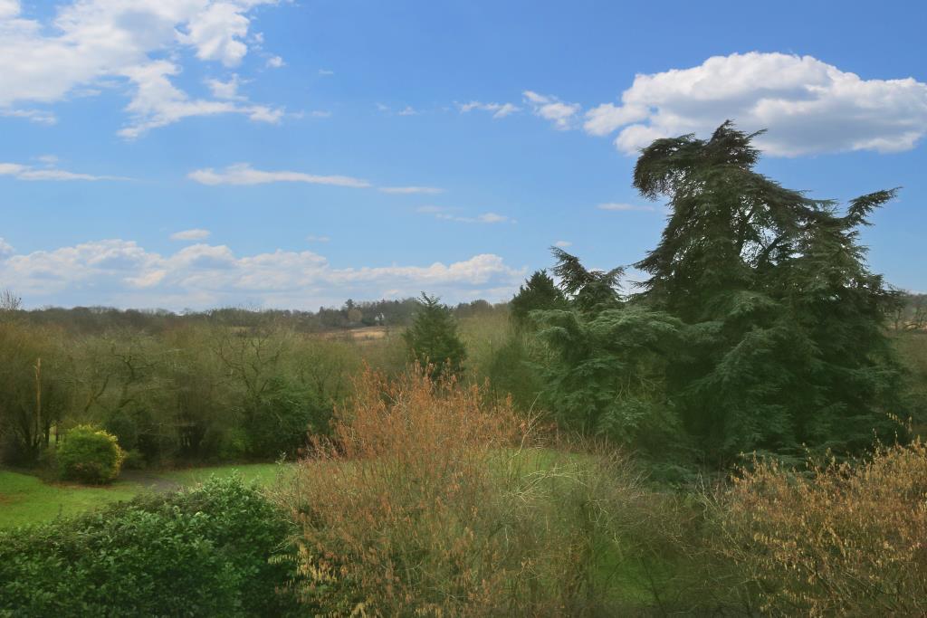 Views From Bedroom 2.JPG