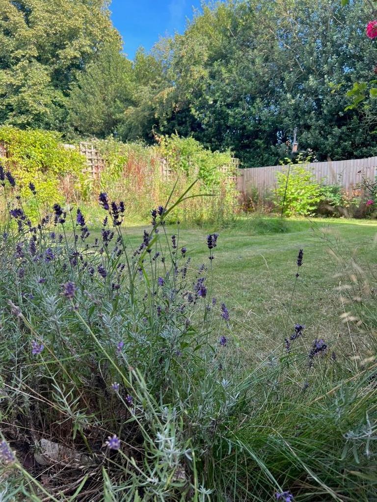 27 Cricketers Grove - Rear Garden summer.jpg