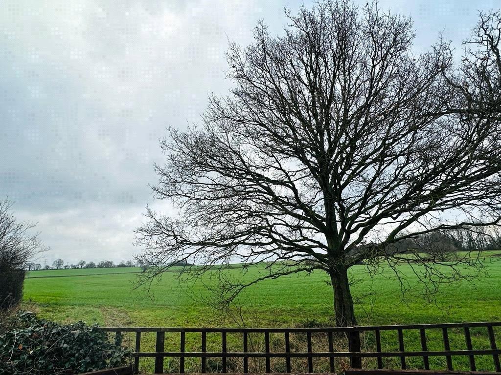 Picture No. 13