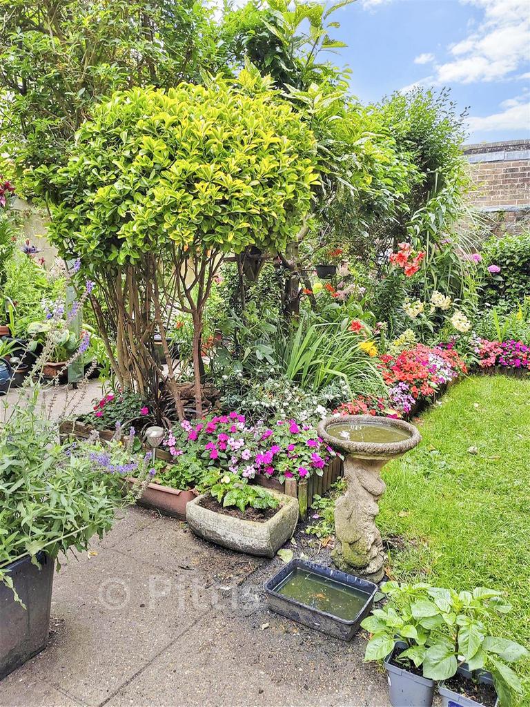 Communal Garden
