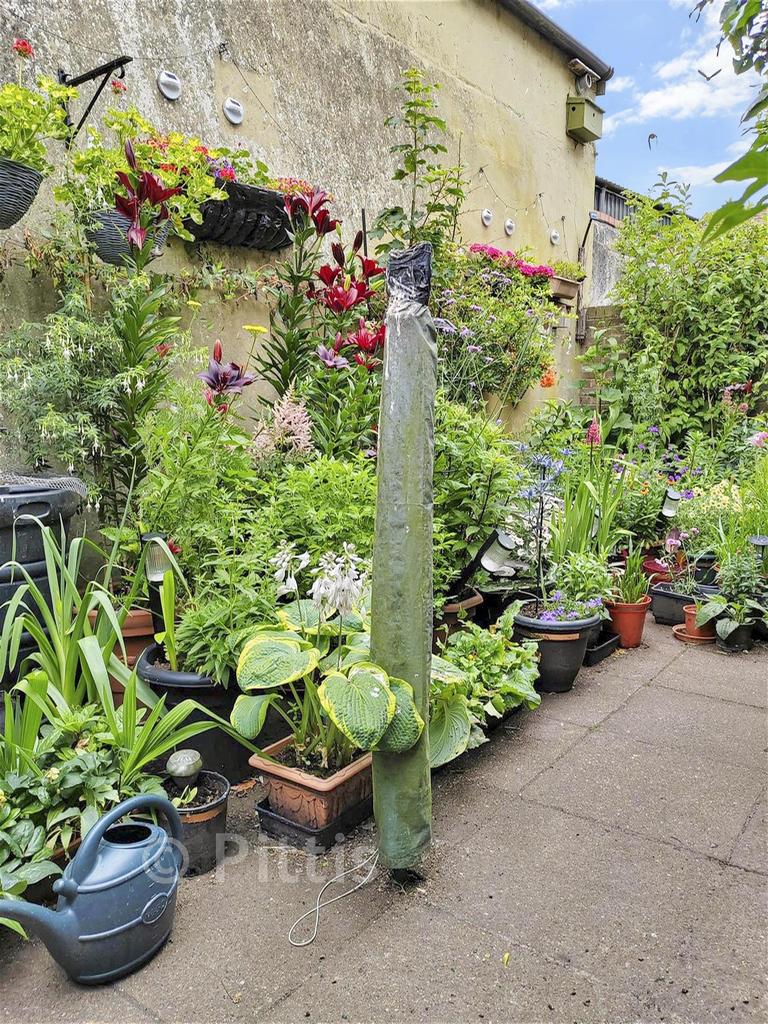 Communal Garden