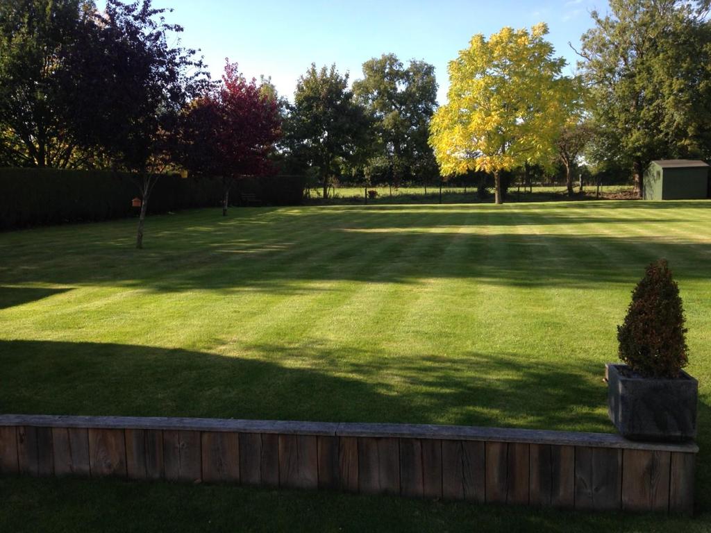Garden 8