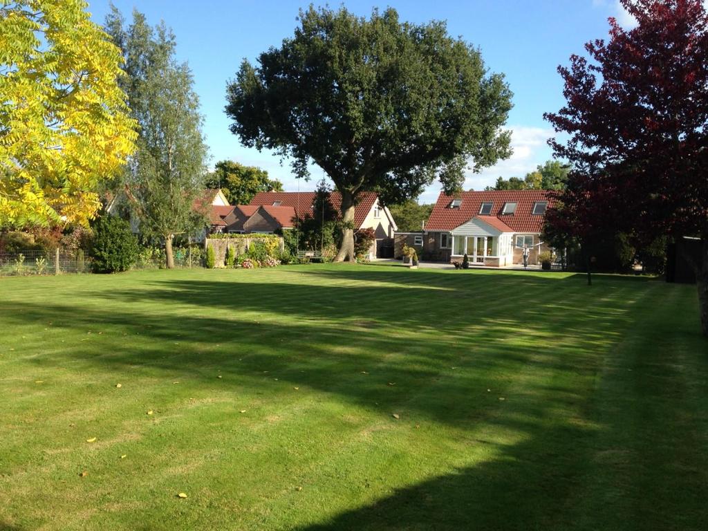 Garden 9