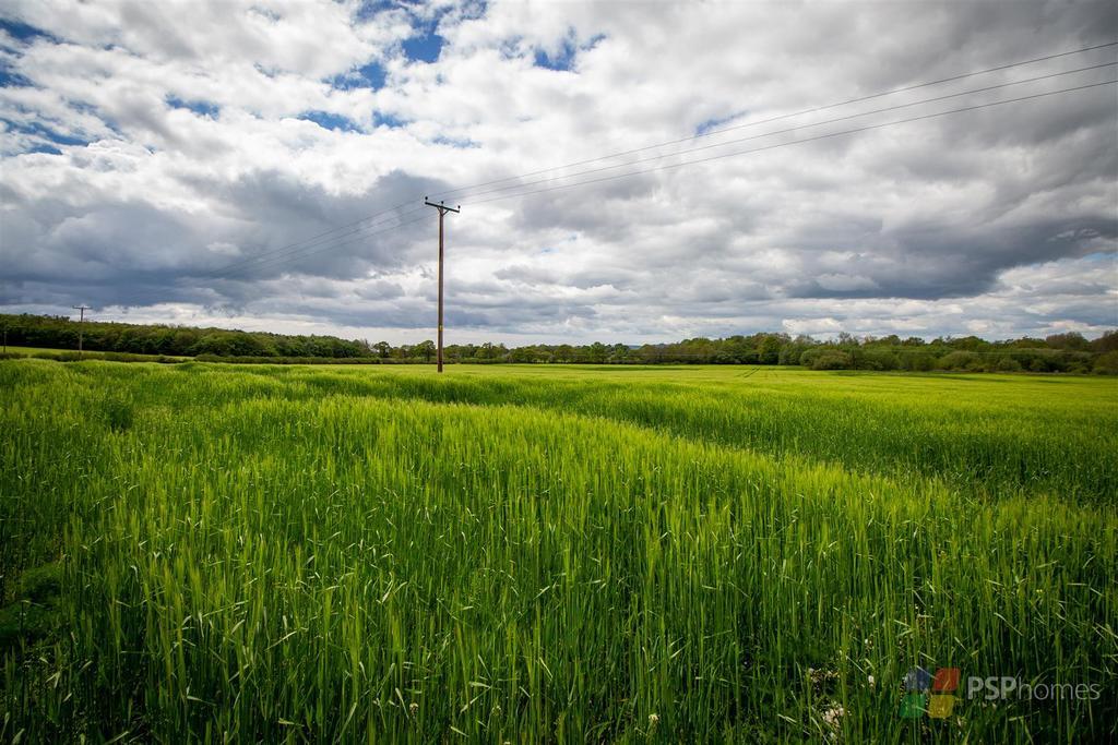 Fields beyond