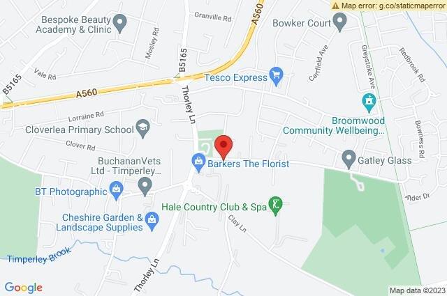 Google Maps Image