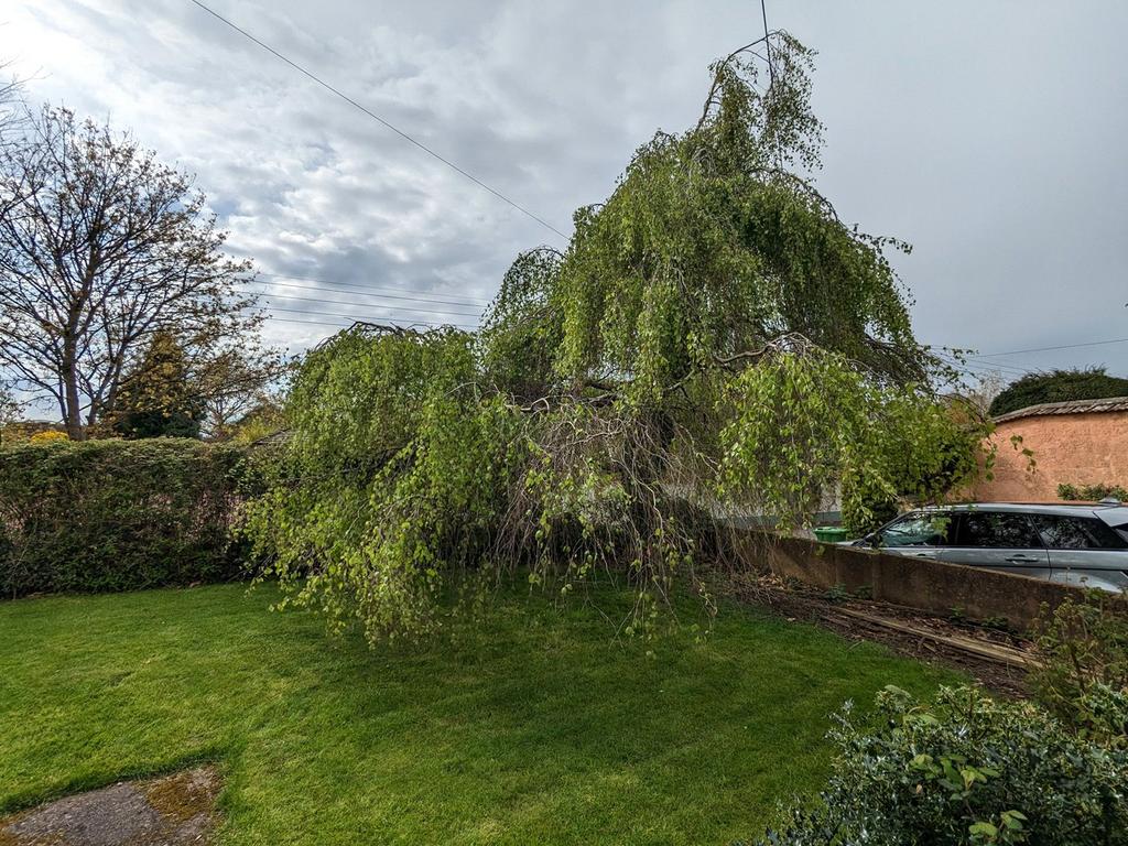 Front Garden