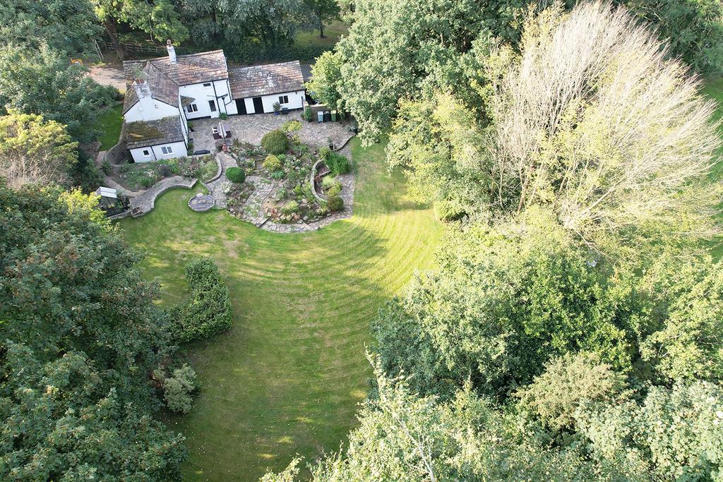 Aerial Garden